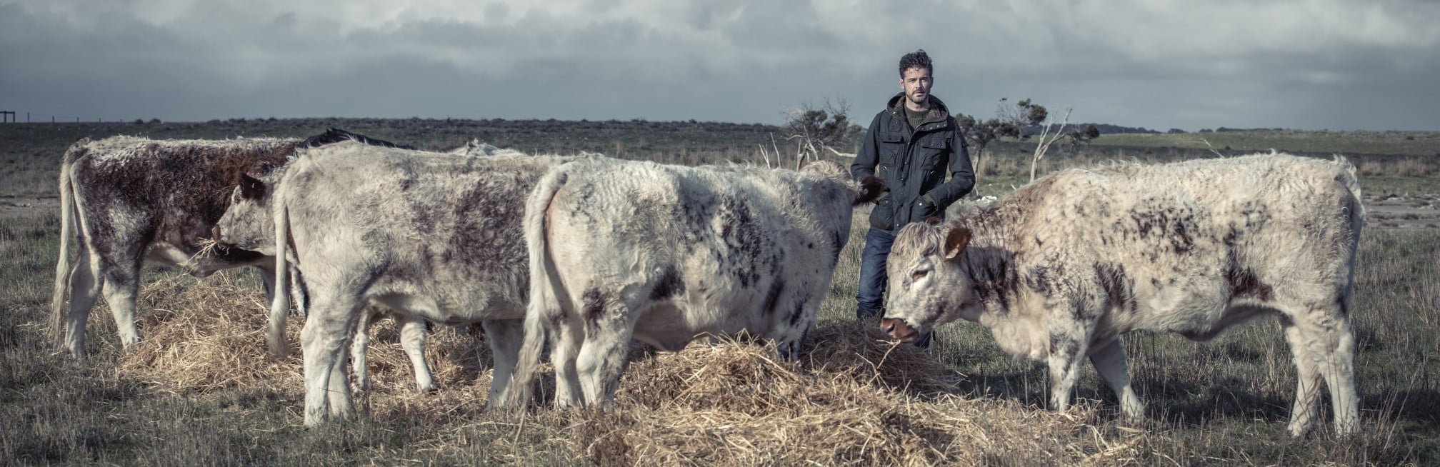 Flavours of South Australia